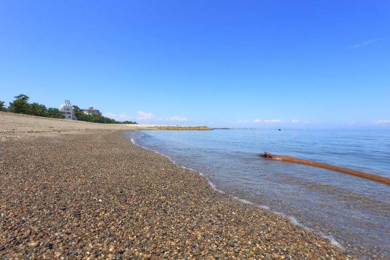 二見浦海水浴場の写真「流木と澄んだ海」