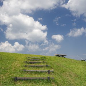 青山高原の写真「新緑と青空と高原」