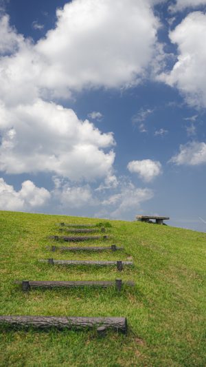 無料スマホ壁紙「新緑と青空と高原」
