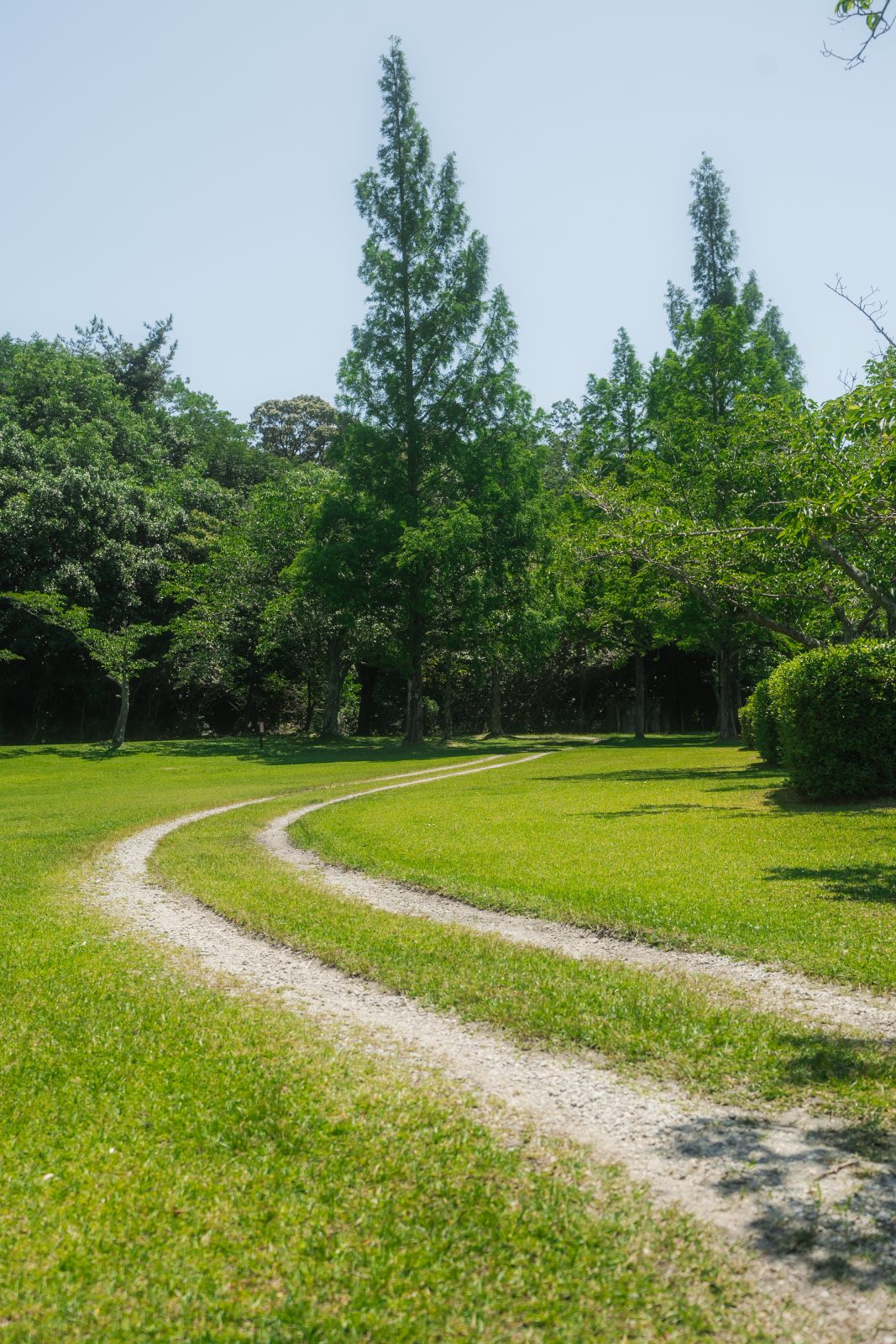 東青山 四季の里の写真「自然豊かな散歩道」