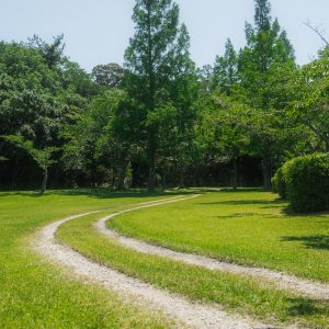 東青山 四季の里の写真「自然豊かな散歩道」