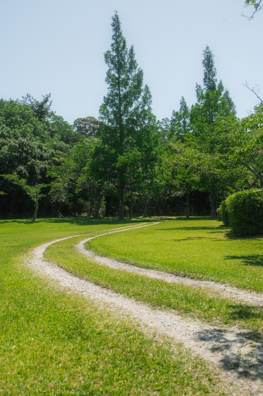 東青山 四季の里の写真「自然豊かな散歩道」