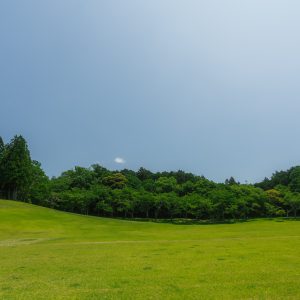 東青山 四季の里の写真「広大な芝生広場」