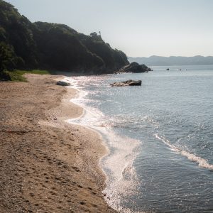 菅島の写真「煌めくしろんご浜」