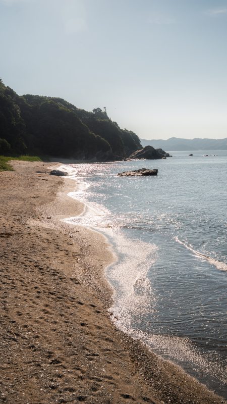 菅島の写真「煌めくしろんご浜」