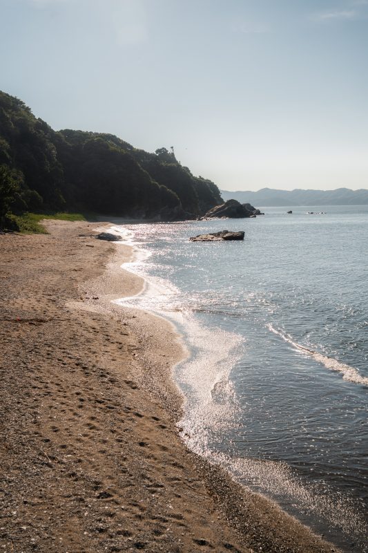 菅島の写真「煌めくしろんご浜」