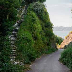 菅島の写真「しろんご街道の登坂」