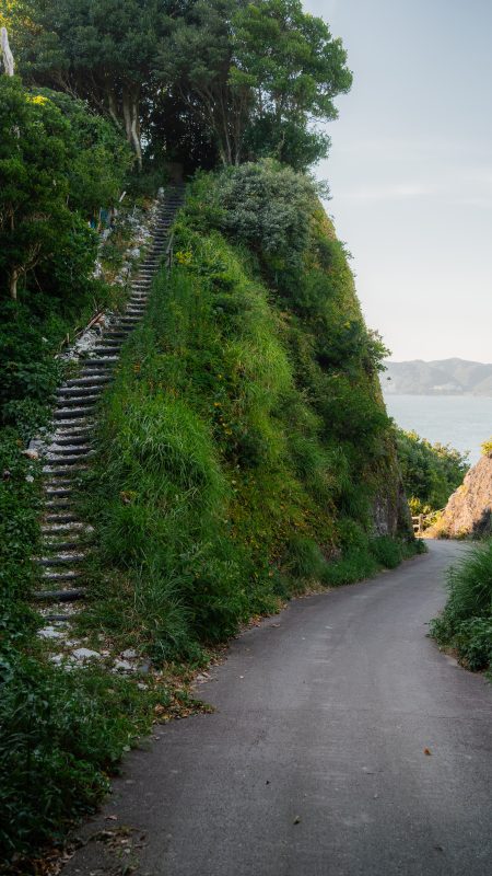 菅島の写真「しろんご街道の登坂」