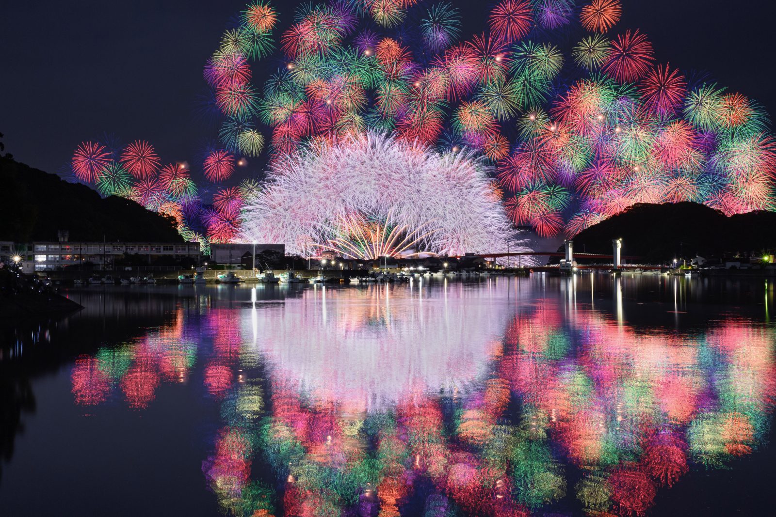 きほく燈籠祭の写真「2024年の彩色千輪菊（横版）」