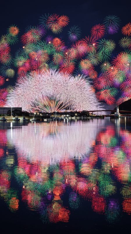 無料スマホ壁紙「水辺に映る彩色千輪菊」