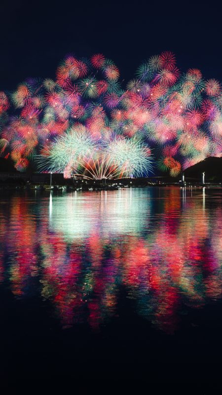 きほく燈籠祭の写真「2025年版の彩色千輪菊」