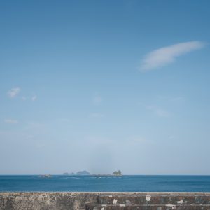 堤防から眺める海