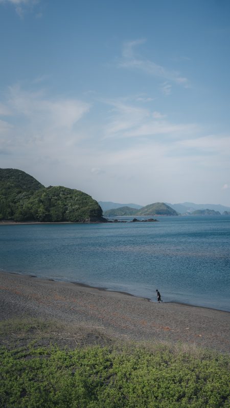 大白公園の写真「堤防の下にある海岸」