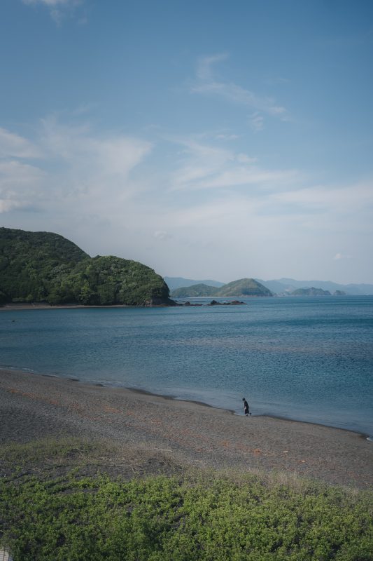 大白公園の写真「堤防の下にある海岸」
