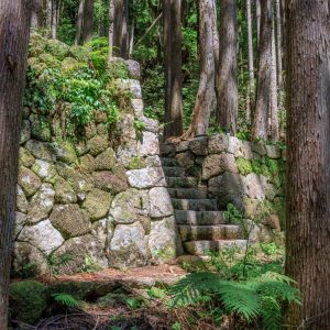 盛松の写真「集落跡の立派な石垣」