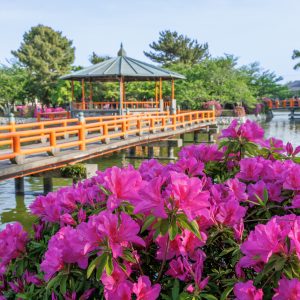 九華公園の写真「ツツジと水上の東屋」