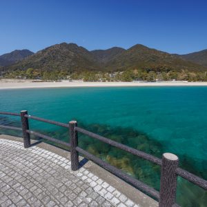 遊歩道の手すりと澄んだ海