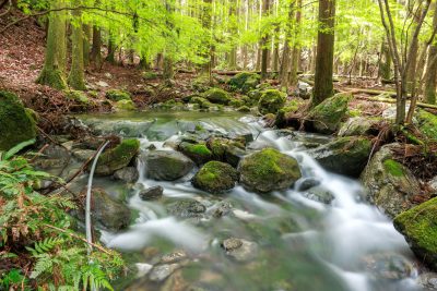 八重谷湧水の写真「湧水近くの川の流れ」
