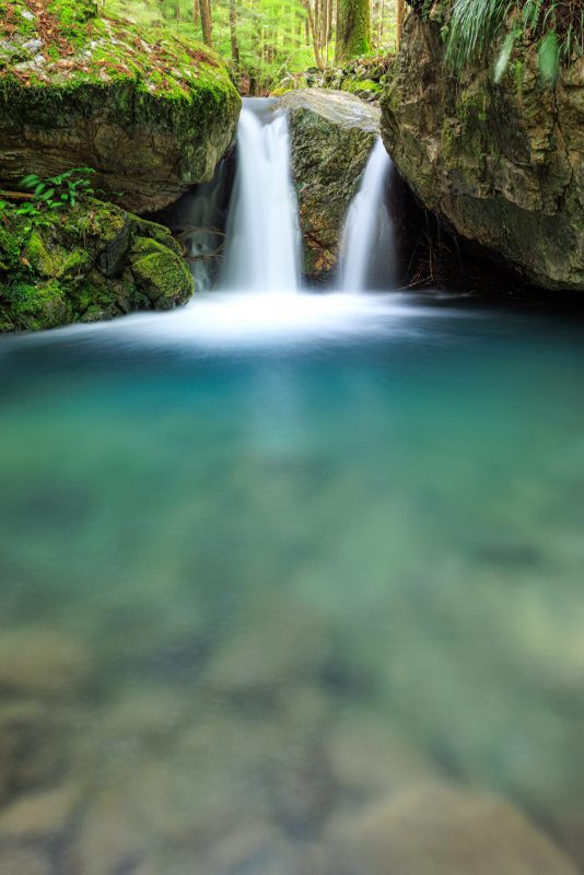 八重谷湧水の写真「新緑の八重滝」
