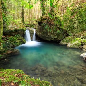 八重谷湧水の写真「新緑の八重滝（全景）」
