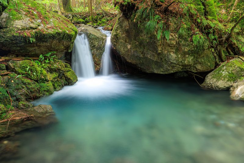 八重谷湧水の写真「新緑の八重滝と苔が広がる岩」