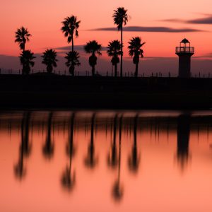 マリーナ河芸の写真「まるでカリフォルニアのビーチ」