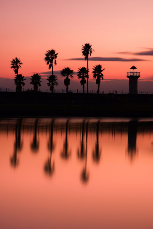 マリーナ河芸の写真「まるでカリフォルニアのビーチ」