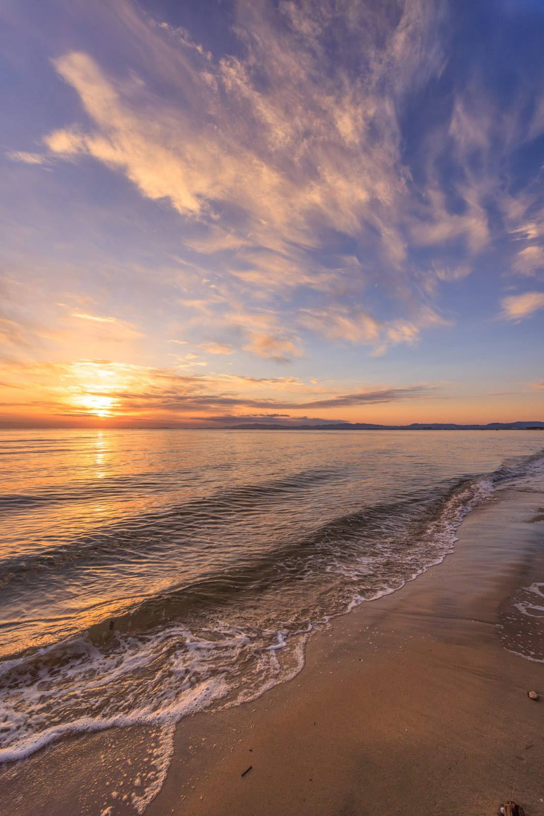 香良洲海岸の写真「朝焼けの海岸」