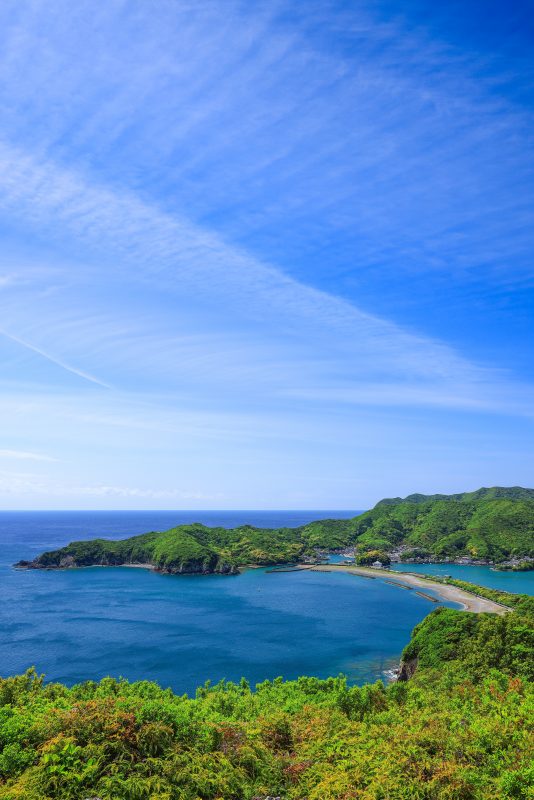 南海展望台の写真「新緑の相賀浦ニワ浜」