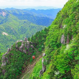 御在所ロープウエイの写真「鎌ヶ岳と大黒岩と新緑の御在所岳」