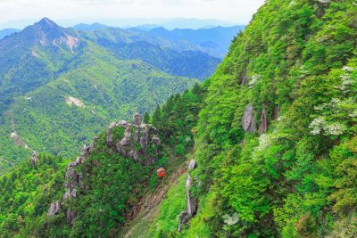 御在所ロープウエイの写真「鎌ヶ岳と大黒岩と新緑の御在所岳」