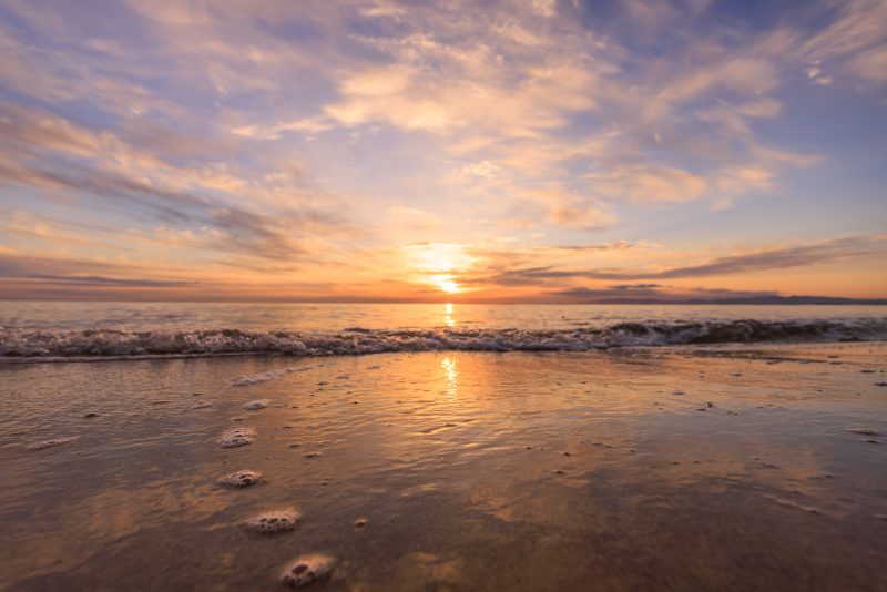 香良洲海岸の写真「朝陽を犬の目線で眺めてみる」