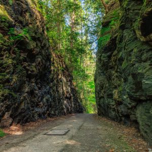 無料壁紙 木漏れ日が差す切り通し。PCとデスクトップ壁紙に最適な4K高画質の無料壁紙。三重県松阪市の珍布峠で撮影したフリー写真素材