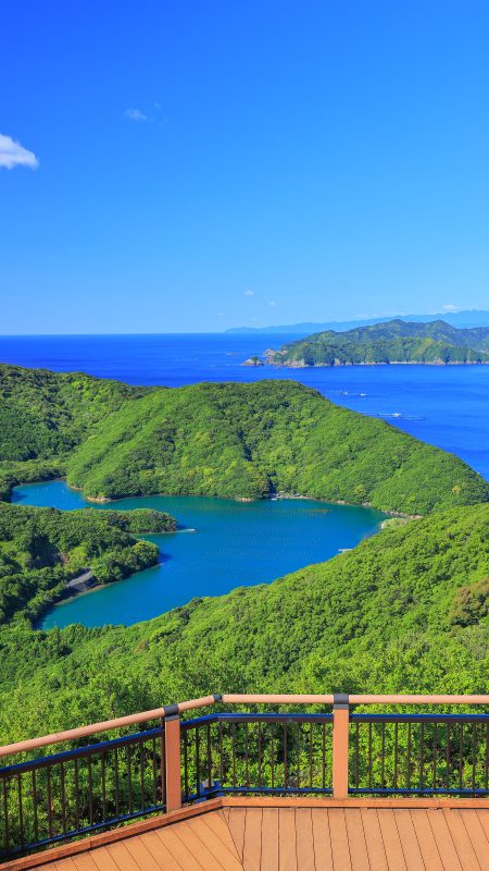 無料スマホ壁紙「初夏の眺め」