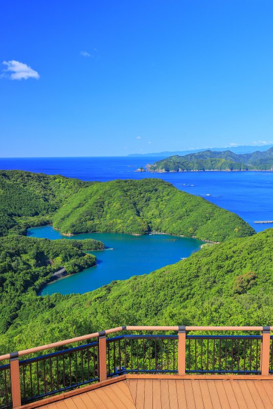見江島展望台の写真「初夏の眺め」
