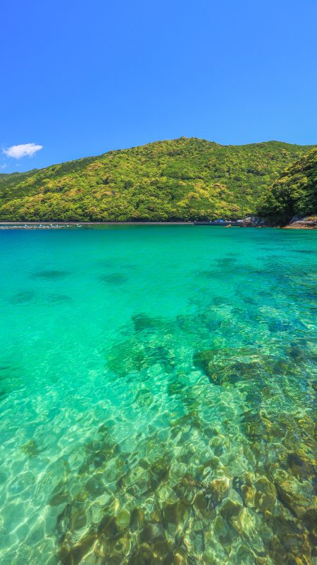 無料スマホ壁紙「エメラルドグリーンに輝く二木島湾」