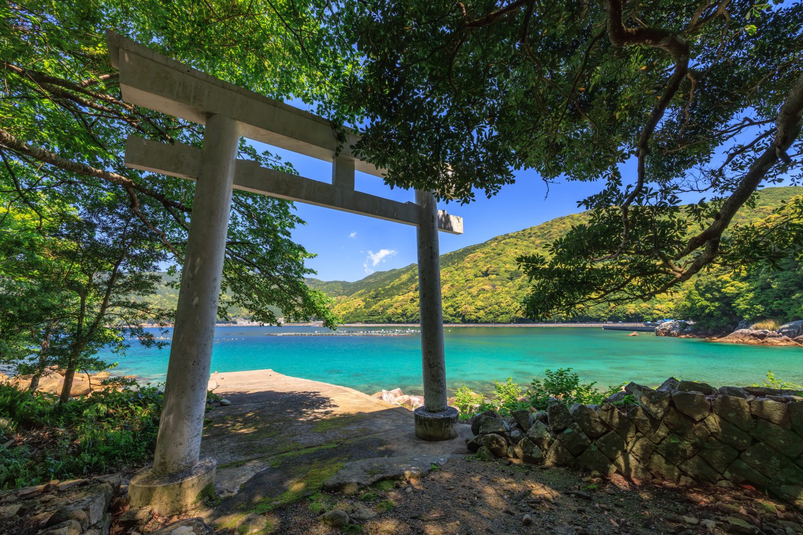 阿古師神社の写真「鳥居の周辺に広がる青い海」