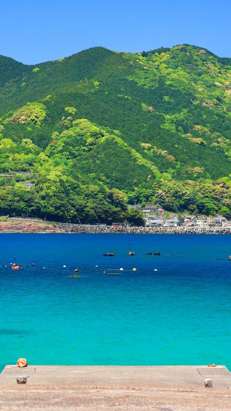 無料スマホ壁紙「鳥居から眺める二木島町の町並み」