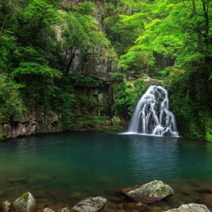 赤目四十八滝の写真「６月の千手滝と周辺の岩」