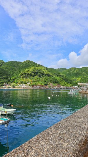 二木島町の堤防沿い