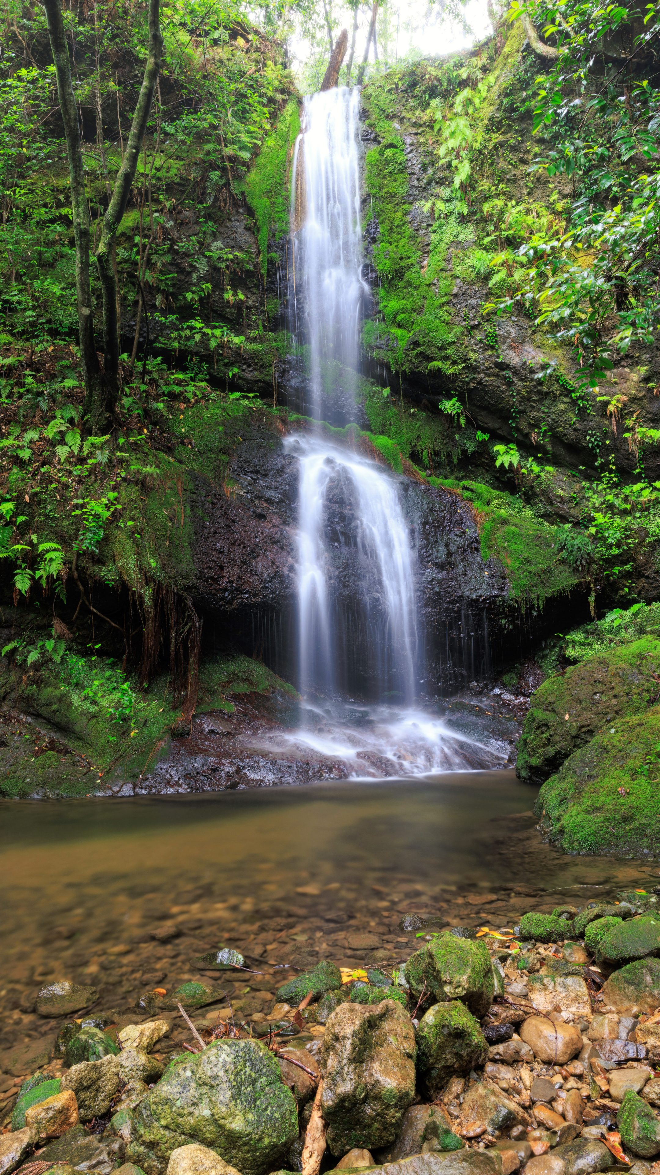 無料スマホ壁紙 滝と滝壺。AndroidとiPhoneに対応した4K高画質の無料待ち受け画像。三重県尾鷲市の村嶋不動滝で撮影したフリー写真素材