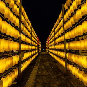 三重県護国神社の写真「黄色い提灯がズラッと」