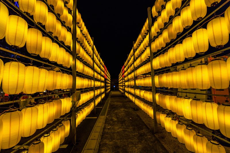 三重県護国神社の写真「黄色い提灯がズラッと」