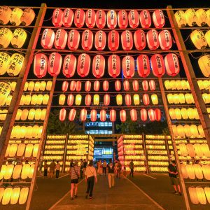 三重県護国神社の写真「万灯みたま祭の圧巻の提灯」