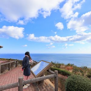 展望台から眺める海