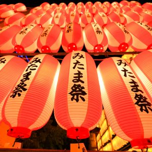三重県護国神社の写真「万灯みたま祭の赤い提灯」