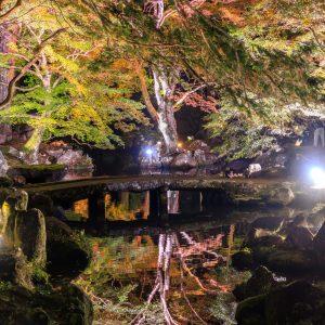 庭園奥の通路から眺める逆さ紅葉