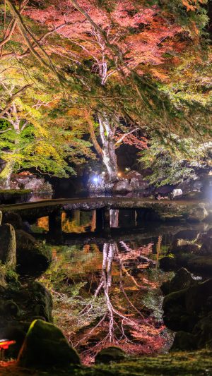 無料スマホ壁紙「庭園奥の通路から眺める逆さ紅葉」