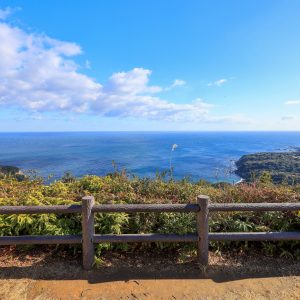 箱田山園地と美しい海