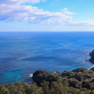 箱田山園地から眺める太平洋